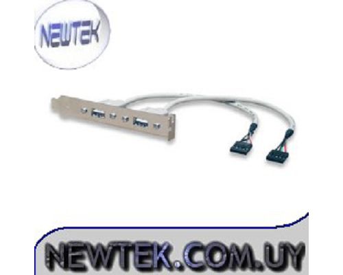 Conector USB Universal para Motherboard Manhattan 311687