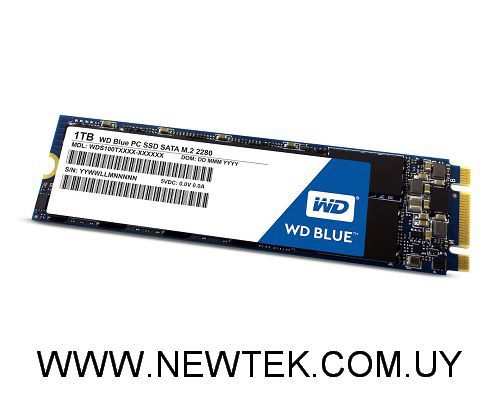 Disco Duro Estado Solido M.2 2280 Western Digital BLUE 3D WDS100T2B0B SSD 1TB