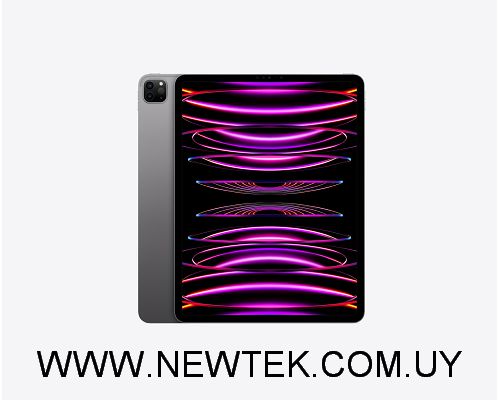 Apple iPad Pro 12.9" Sexta generacion Chip M2 WiFi 256Gb Space Gray MNXR3LZ/A